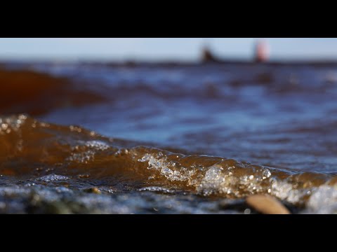 Видео: Обь — сердце Ямала!