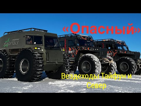 Видео: @Вездеходы Тайфун и Север на каньоне Опасный