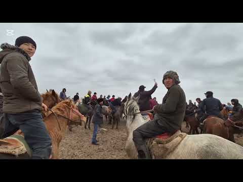 Видео: кокпар Шымбай Кенес