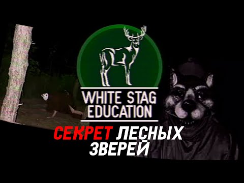 Видео: НЕЗНАКОМЦЫ В МАСКАХ ЗВЕРЕЙ ПОХИЩАЮТ ЛЮДЕЙ (ПЕРЕЗАЛИВ)