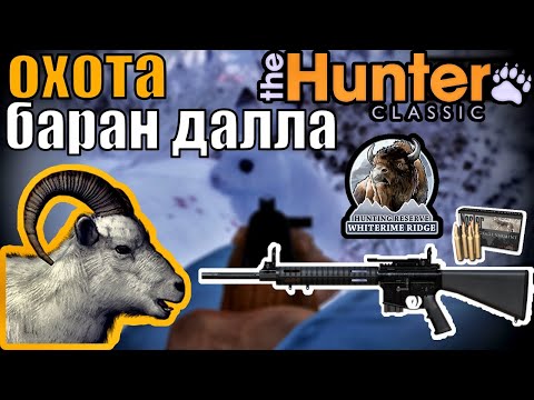 Видео: Пошёл На Барана Но Добыл Кучу Зверей The Hunter Classic