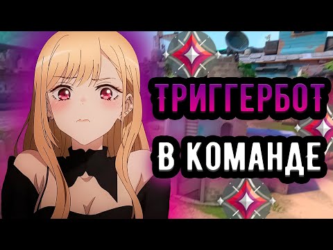 Видео: ЧИТЕРЫ ВЕЗДЕ, КАК ИГРАТЬ В ВАЛОРАНТ?   |  Имморталы 🤡 (ᴠᴀʟᴏʀᴀɴᴛ)