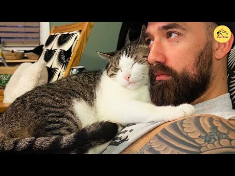 Видео: Она спасла бродячего кота… а потом он увел ее мужа