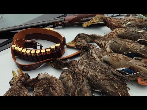 Видео: Открытие осеннего сезона 2025 на водоплавающую дичь! Охота на утку с подхода. 