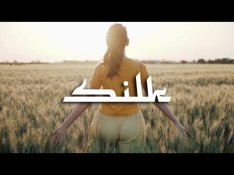 Видео: Алина Селях - Представь | Премьера 2021