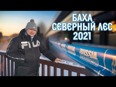 Видео: Баха Северный Лес 2021