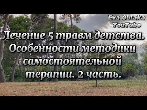 Видео: Лечение 5 травм детства, особенности методики самостоятельной терапии. 2 часть. Это важно⤵️