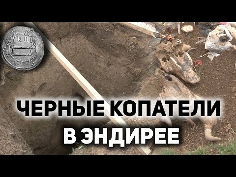 Видео: Черные копатели в Эндирее