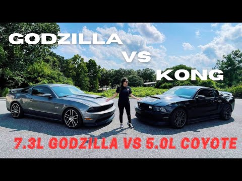 Видео: ГОДЗИЛЛА ПРОТИВ КОНГА | 7.3 Л ПРОТИВ 5.0 Л | БИТВА МУСТАНГОВ