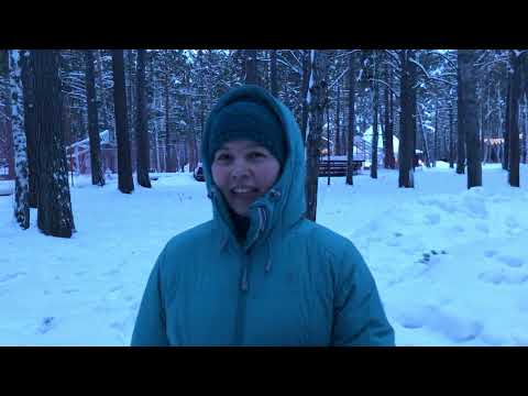 Видео: Кулига-парк Тюмень, небольшой обзор.