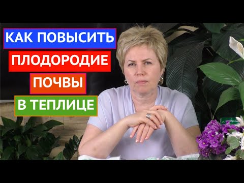 Видео: ПОВЫШАЕМ ПЛОДОРОДИЕ В ТЕПЛИЦЕ! ПРОСТЫЕ И ЭФФЕКТИВНЫЕ МЕТОДЫ!