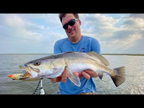 Видео: БОЛЬШАЯ крапчатая форель на поверхностные приманки!