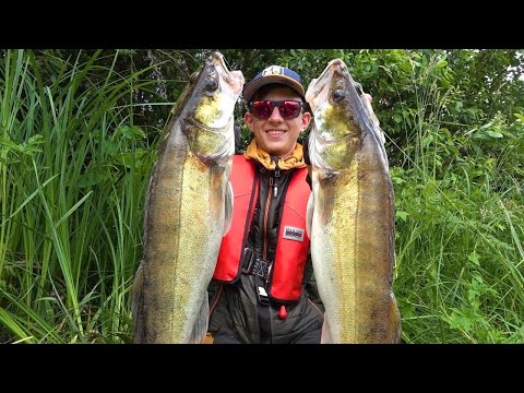 Видео: Рыбалка сказка! Долго искали и нашли! Что ни заброс, то трофей!