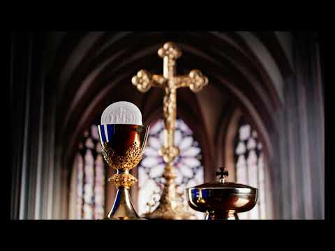 Видео: Ты ў хлебе ўбачыш