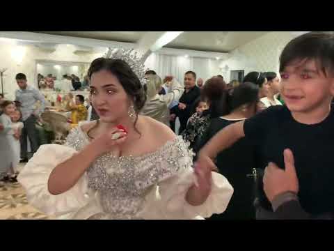 Видео: 22 мая 2025 г.