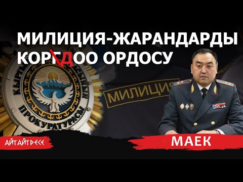 Видео: “Биз каалагандай чабабыз, каалагандай жабабыз. Бизди министрлик коргоп алат”-деген мамиле