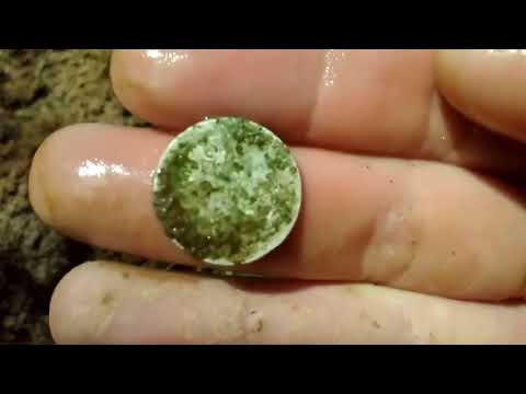 Видео: Мой первый и сразу удачный шурф с Fisher F5