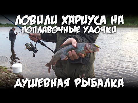 Видео: Душевная рыбалка / Ловили хариуса на поплавочные удочки / 4К