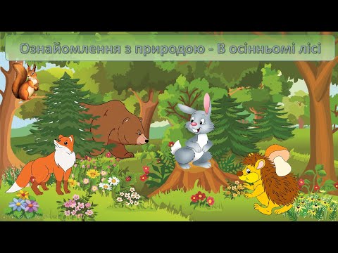 Видео: Ознайомлення з природою В осінньому лісі