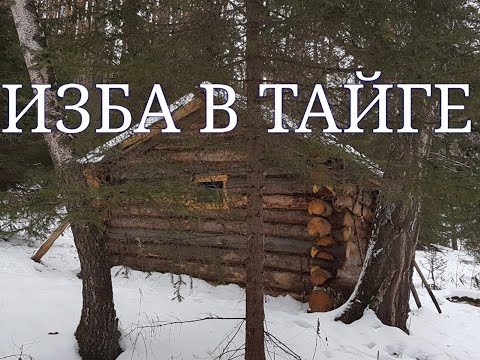 Видео: ИЗБА в ТАЙГЕ.