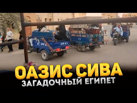 Видео: Невозможно добраться. Сива - чудесный оазис среди пустыни Египта! Самостоятельное путешествие.