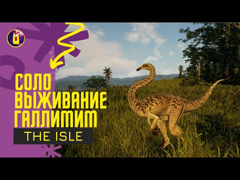 Видео: The Isle Evrima. Соло выживание за галлимима.