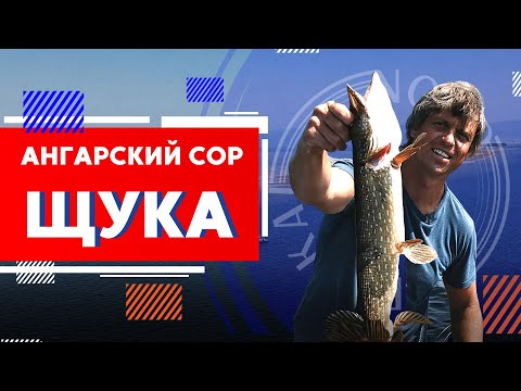 Видео: Щука в Ангарском соре. Окунь на рожнах | Рыбалка на Северном Байкале | Nord Baikal