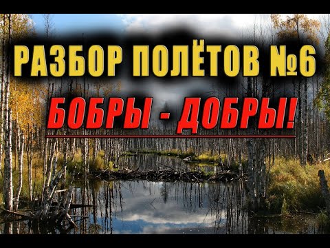 Видео: Разбор полётов №6. Бобровые плотины и прочие неприятности.