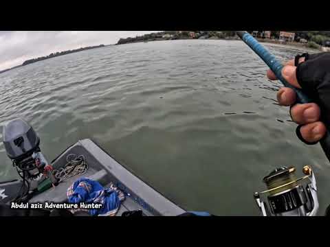 Видео: Судак ови