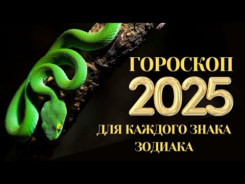 Видео: Гороскоп на 2025 год по году рождения и знаку зодиака