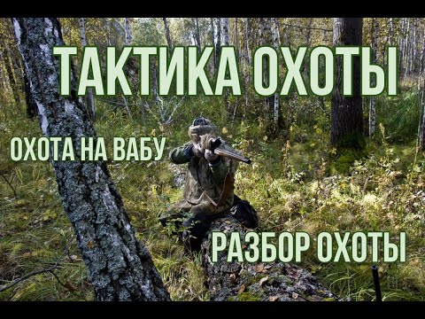 Видео: Охота на самцов сибирской косули во время гона.