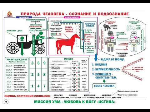 Видео: Миссия человека исходя из даты рождения