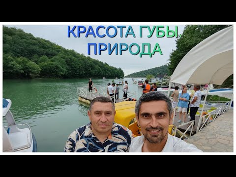 Видео: КРАСОТА ГУБЫ. ПРИРОДА