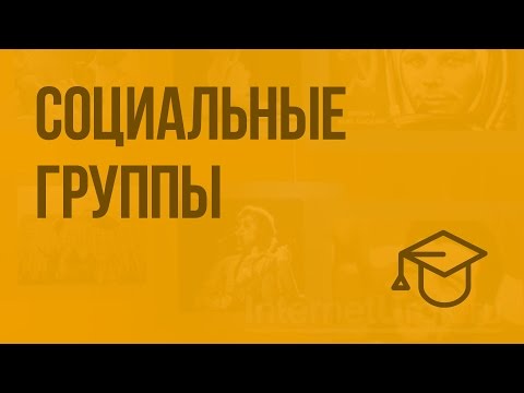 Видео: Социальные группы. Видеоурок по обществознанию 11 класс
