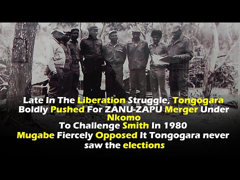Видео: Почему Джосайя Тонгогара хотел, чтобы Джошуа Нкомо стал первым президентом Зимбабве, но в итоге умер