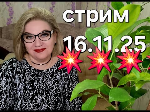 Видео: Спасибо, что заглянули❤️16.11.25