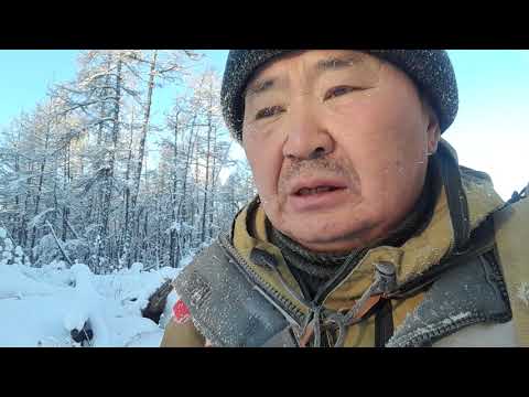 Видео: Охота лайками.