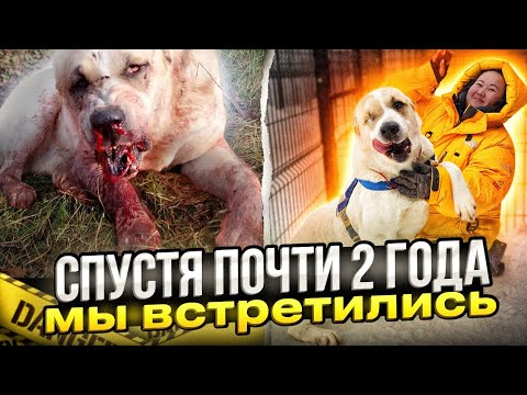 Видео: Тот самый Феникс восставший  из ада и та самая Мия с прорубленой головой, мы стретились 2 г спустя 😱