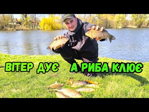 Видео: В КОГО Є ВЕЛИКА СОСИСКА, ТОЙ ЛОВИТЬ ВЕЛИКИХ КАРАСІВ