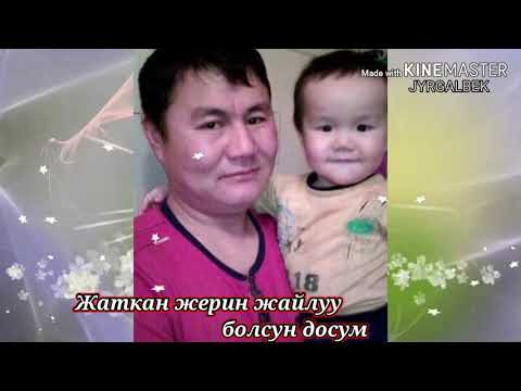 Видео: Жаркынбектин жаркын элесине