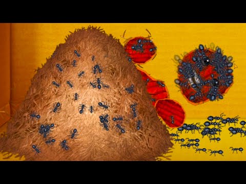 Видео: АНТИСТРЕСС против МУРАВЕЙНИКА #85 Кик зе Бадди стал мясом. Kick the Buddy с Кидом на крутилкины