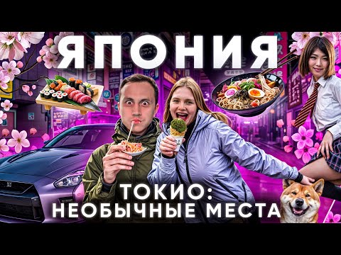 Видео: Япония. Как ошибаются 99% туристов, летя в Токио? Еда цены отель собаки Сиба-ину рамэн Tokyo Japan