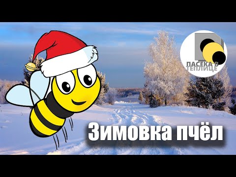 Видео: Зимовка пчёл в поликарбонатной теплице #пчелы #матка #подмор #зимовка #мёд #мед