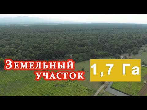 Видео: Продается дом возле Кутаиси с участком 1,7 Га, земля в Грузии