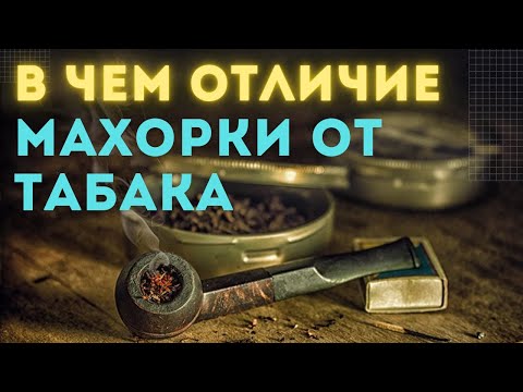 Видео: В чем отличие махорки от табака