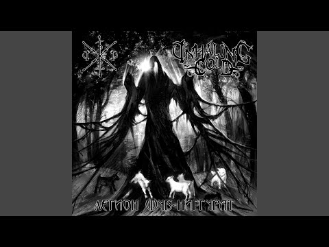 Видео: Легион Шуб-Ниггурат