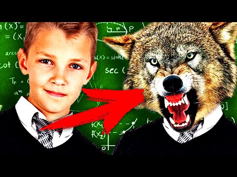 Видео: Топ10 НЕ ШКОЛЬНЫХ Уроков, Которые Преподала Жизнь!