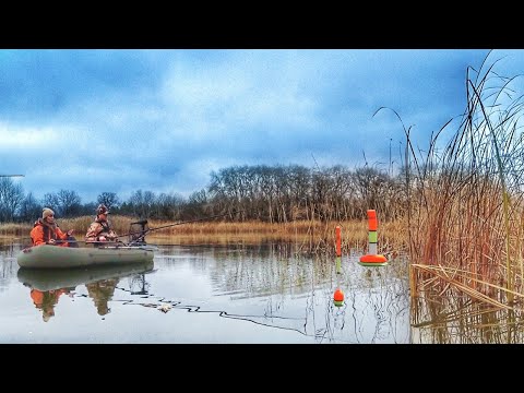 Видео: ТАКАЯ РЫБАЛКА ВПЕРВЫЕ У НЕЁ!!! ОНИ ТАЩАТ И ГНУТ УДОЧКУ! Рыбалка на поплавок. Ловля сазана, карася