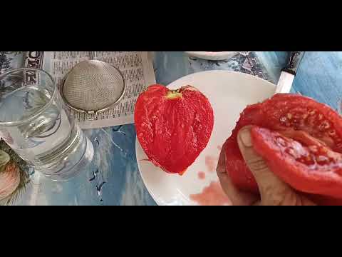 Видео: Събиране на семена от домати