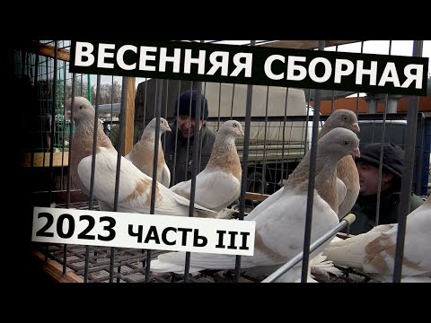 Видео: Весенняя сборная 2023 часть III (заключительная)